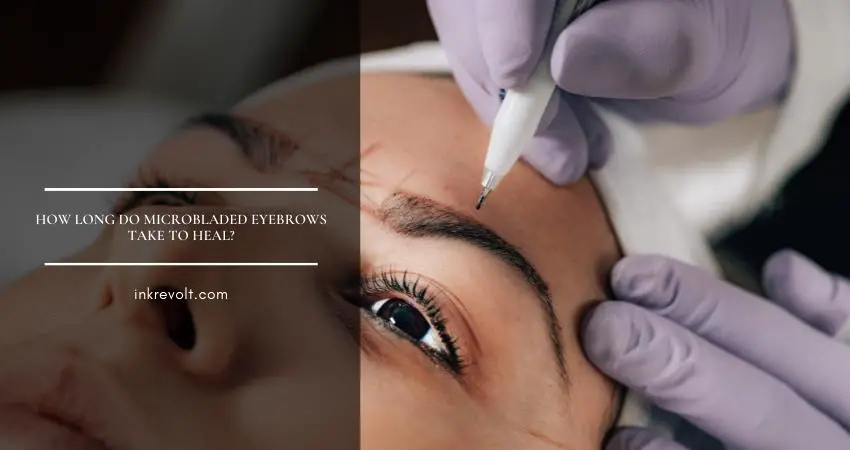 How Long Do Microbladed Eyebrows Take To Heal