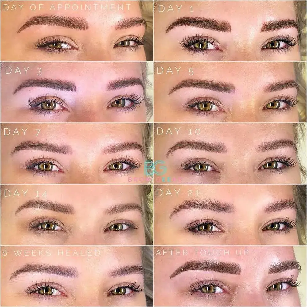 Eyebrow Healing After Microblading