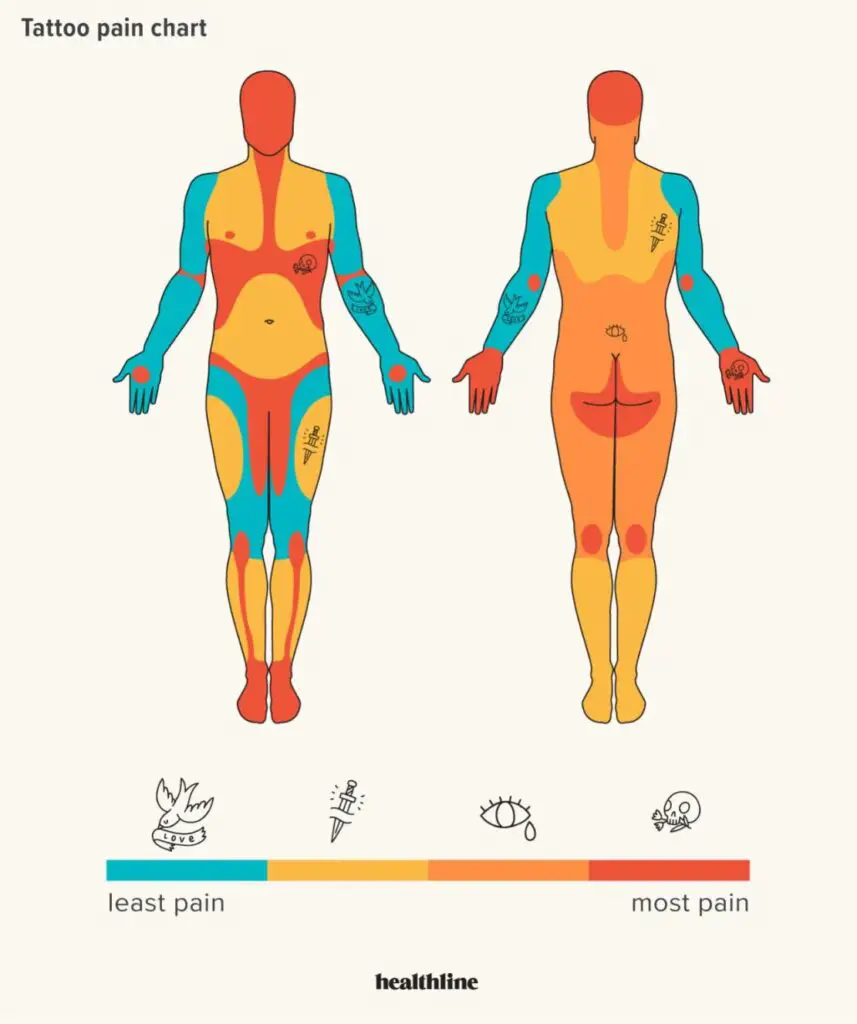 Tattoo Pain Chart For Male Body